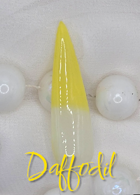 Daffodil